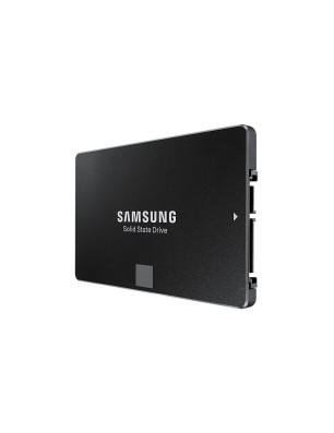 850 EVO SATA III 2.5pouces SSD