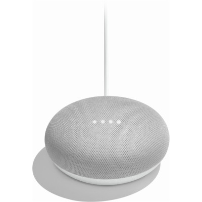 Google Home Mini Assistant Vocal