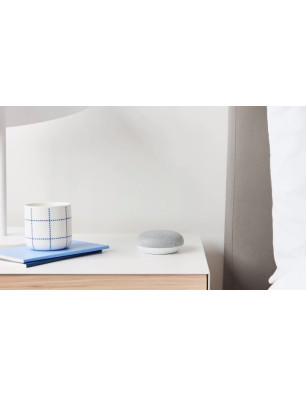 Google Home Mini